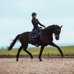 Bandages Equestrian Stockholm Black Edition Zwart -Paardenbenodigdheden Winkel bandages equestrian stockholm black edition zwart 1500x1500 147626