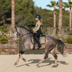 Bandages Equestrian Stockholm Chantelle Lichtbruin -Paardenbenodigdheden Winkel bandages equestrian stockholm chantelle lichtbruin 1500x1500 153784