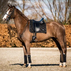 Bandages HB Showtime Crown Zwart -Paardenbenodigdheden Winkel bandages hb showtime crown zwart 1500x1500 146316