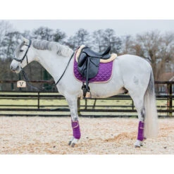 Bandages Horsegear Aurum Paars -Paardenbenodigdheden Winkel bandages horsegear aurum paars 1500x1500 139131