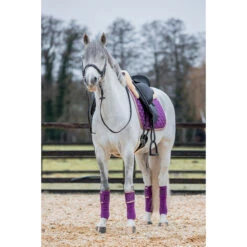 Bandages Horsegear Aurum Paars -Paardenbenodigdheden Winkel bandages horsegear aurum paars 1500x1500 139132