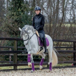 Bandages Horsegear Aurum Paars -Paardenbenodigdheden Winkel bandages horsegear aurum paars 1500x1500 139133