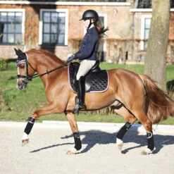 Bandages Horsegear Aurum Zwart -Paardenbenodigdheden Winkel bandages horsegear aurum zwart 1500x1500 139126