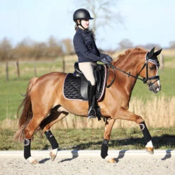 Bandages Horsegear Aurum Zwart -Paardenbenodigdheden Winkel bandages horsegear aurum zwart 1500x1500 139127