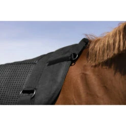 Barebackpad Equithème Norton Zwart -Paardenbenodigdheden Winkel barebackpad equitheme norton zwart 1500x1500 150047