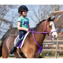 Barebackpad QHP Paars -Paardenbenodigdheden Winkel barebackpad qhp paars 1500x1500 120598