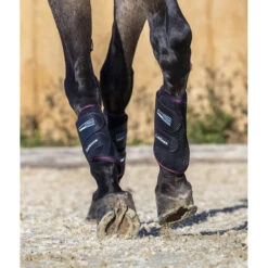 Beenbeschermers LeMieux Carbon Mesh Zwart-rood -Paardenbenodigdheden Winkel beenbeschermers lemieux carbon mesh zwart rood 1500x1500 132762