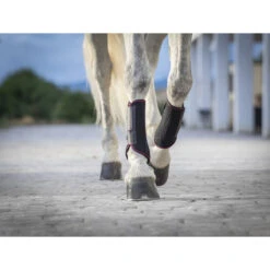 Beenbeschermers LeMieux Carbon Mesh Zwart-rood -Paardenbenodigdheden Winkel beenbeschermers lemieux carbon mesh zwart rood 1500x1500 132763