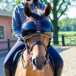 Beschermingsbril Paarden EQuick Evysor Darker Zwart