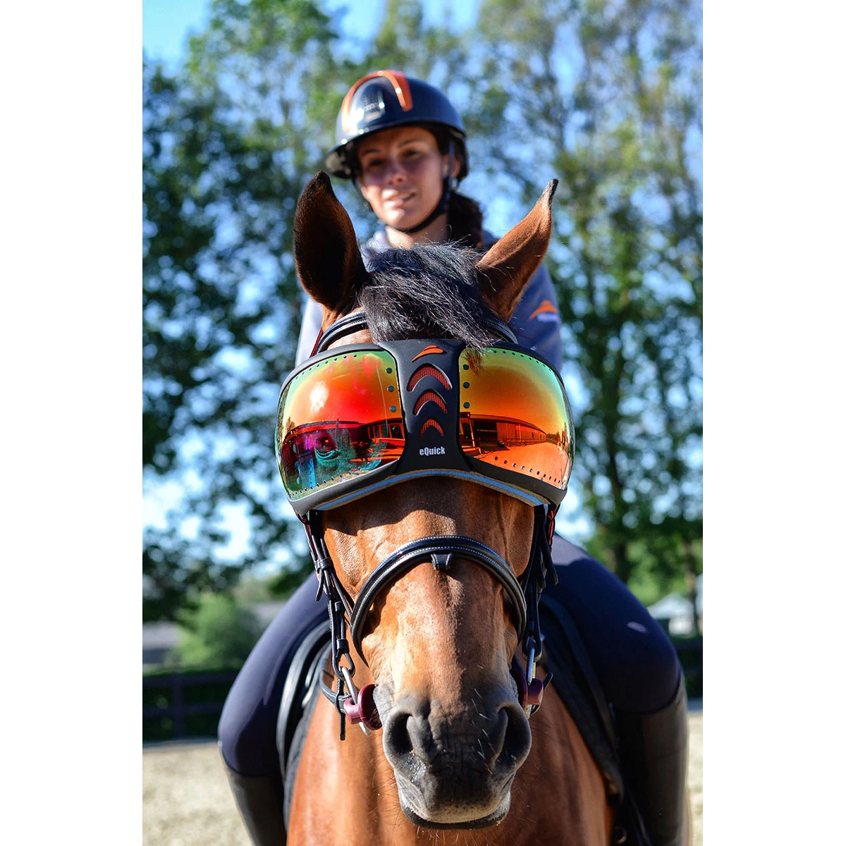 Beschermingsbril Paarden EQuick Evysor Rainbow Multicolor 1 Beschermingsbril Paarden EQuick Evysor Rainbow Multicolor