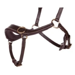 Bitloos Hoofdstel QHP Anatomical Bruin -Paardenbenodigdheden Winkel bitloos hoofdstel qhp anatomical bruin 1500x1500 178371