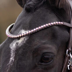 Bitloos Hoofdstel QHP Sunna Donkerbruin -Paardenbenodigdheden Winkel bitloos hoofdstel qhp sunna donkerbruin 1500x1500 169596