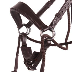 Bitloos Hoofdstel QHP Sunna Donkerbruin -Paardenbenodigdheden Winkel bitloos hoofdstel qhp sunna donkerbruin 1500x1500 169601