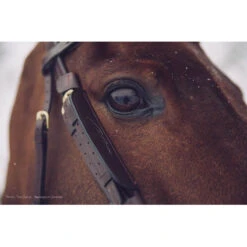 Blinkers Dy'on Zwart -Paardenbenodigdheden Winkel blinkers dy on zwart 1500x1500 101484