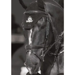 Blinkers Dy'on Zwart -Paardenbenodigdheden Winkel blinkers dy on zwart 1500x1500 101485