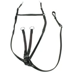 Borsttuig Epplejeck Bristol Zwart-zilver