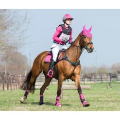 Borsttuig Met Martingaal QHP Sedna Zwart -Paardenbenodigdheden Winkel borsttuig met martingaal qhp sedna zwart 1500x1500 101259