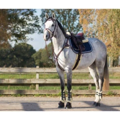 Borsttuig QHP Ontario Bruin -Paardenbenodigdheden Winkel borsttuig qhp ontario bruin 1500x1500 120432