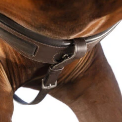 Borsttuig Rambo Micklem Bruin -Paardenbenodigdheden Winkel borsttuig rambo micklem bruin 1500x1500 142643