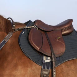 Borsttuig Rambo Micklem Bruin -Paardenbenodigdheden Winkel borsttuig rambo micklem bruin 1500x1500 142645