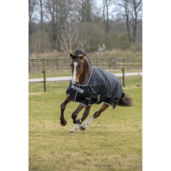 Deken Bucas Anniversary Turnout Stay-Dry 0gr Zwart-zilver -Paardenbenodigdheden Winkel deken bucas anniversary turnout stay dry 0gr zwart zilver 1500x1500 99125