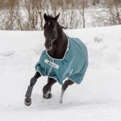 Deken Bucas Atlantic Turnout 200gr Donkergroen -Paardenbenodigdheden Winkel deken bucas atlantic turnout 200gr donkergroen 1500x1500 100465