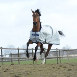 Deken Bucas Power Turnout Big Neck 0gr Zilver -Paardenbenodigdheden Winkel deken bucas power turnout big neck 0gr zilver 1500x1500 133269
