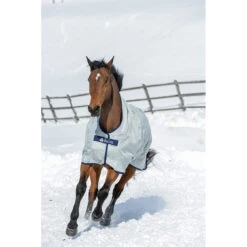 Deken Bucas Power Turnout High Neck 0gr Zilver -Paardenbenodigdheden Winkel deken bucas power turnout high neck 0gr zilver 1500x1500 133264