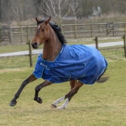 Deken Bucas Smartex Extra 300gr Blauw -Paardenbenodigdheden Winkel deken bucas smartex extra 300gr blauw 1500x1500 112022