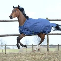Deken Bucas Smartex Extra 300gr Blauw -Paardenbenodigdheden Winkel deken bucas smartex extra 300gr blauw 1500x1500 112023