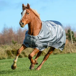Deken Bucas Smartex Rain Grijs -Paardenbenodigdheden Winkel deken bucas smartex rain grijs 1500x1500 112037
