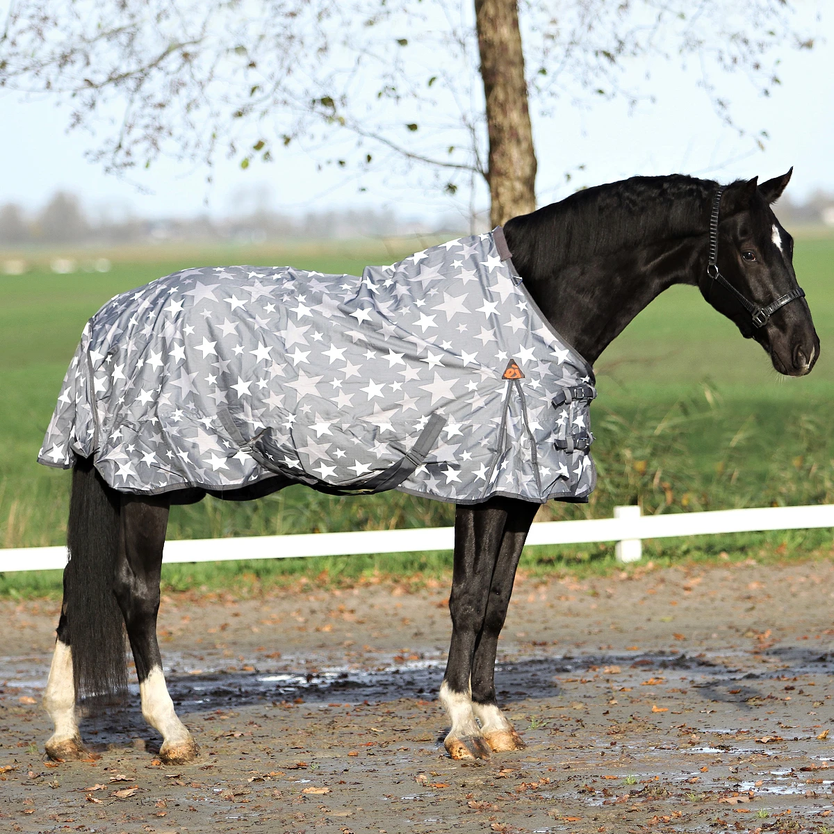 Deken Epplejeck Skyfall 0gr Grijs 3 Deken Epplejeck Skyfall 0gr Grijs - Afbeelding 3