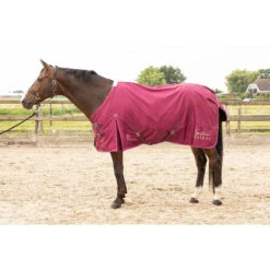 Deken Harry's Horse Thor 0gr Donkerpaars -Paardenbenodigdheden Winkel deken harry s horse thor 0gr donkerpaars 1500x1500 183391
