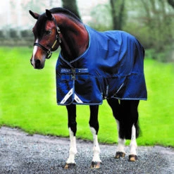 Deken Horseware Amigo Bravo 0gr Donkerblauw -Paardenbenodigdheden Winkel deken horseware amigo bravo 0gr donkerblauw 1500x1500 108495