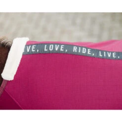 Deken QHP Coolmesh Astana Donkerrood -Paardenbenodigdheden Winkel deken qhp coolmesh astana donkerrood 1500x1500 159263