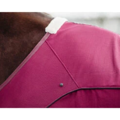 Deken QHP Coolmesh Astana Donkerrood -Paardenbenodigdheden Winkel deken qhp coolmesh astana donkerrood 1500x1500 159264
