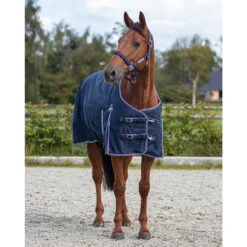 Deken QHP Turnout Luxe 0gr Donkerblauw -Paardenbenodigdheden Winkel deken qhp turnout luxe 0gr donkerblauw 1500x1500 151013