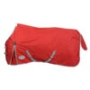 Deken WeatherBeeta ComFiTec Classic Lite 0gr Rood-zilver