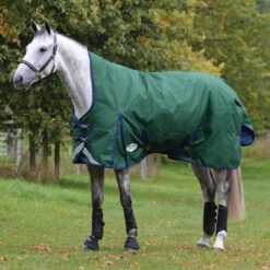 Deken WeatherBeeta ComFiTec Dynamic High Neck 220gr Groen-blauw -Paardenbenodigdheden Winkel deken weatherbeeta comfitec dynamic high neck 220gr groen blauw 1500x1500 133004