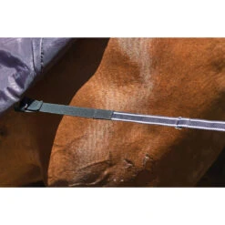 Deken WeatherBeeta ComFiTec Plus Dynamic 100gr Paars-zwart -Paardenbenodigdheden Winkel deken weatherbeeta comfitec plus dynamic 100gr paars zwart 1500x1500 137232