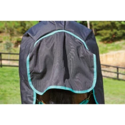 Deken WeatherBeeta Green-Tec 900D 360gr Zwart-groen -Paardenbenodigdheden Winkel deken weatherbeeta green tec 900d 360gr zwart groen 1500x1500 135091