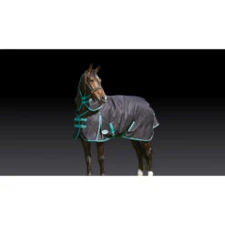 Deken WeatherBeeta Green-Tec 900D 360gr Zwart-groen -Paardenbenodigdheden Winkel deken weatherbeeta green tec 900d 360gr zwart groen 1500x1500 135093