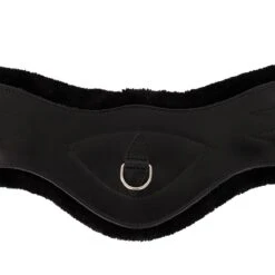 Dressuursingel Anky Zwart 14 Dressuursingel Anky Zwart -Paardenbenodigdheden Winkel dressuursingel anky zwart 1500x1500 179968