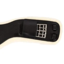 Dressuursingel Anky Zwart 17 Dressuursingel Anky Zwart -Paardenbenodigdheden Winkel dressuursingel anky zwart 1500x1500 179971