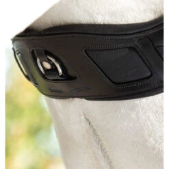 Dressuursingel Rambo Micklem Comfort Zwart -Paardenbenodigdheden Winkel dressuursingel rambo micklem comfort zwart 1500x1500 142632