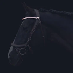 Frontriem PresTeq FaySport Bruin -Paardenbenodigdheden Winkel frontriem presteq faysport bruin 1500x1500 130582