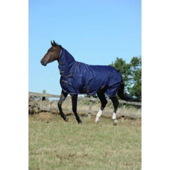 Halsstuk Bucas Irish Turnout Combi 300gr Donkerblauw-goud -Paardenbenodigdheden Winkel halsstuk bucas irish turnout combi 300gr donkerblauw goud 1500x1500 133321