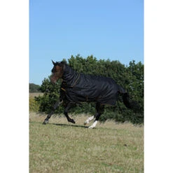 Halsstuk Bucas Irish Turnout Combi 300gr Zwart-goud -Paardenbenodigdheden Winkel halsstuk bucas irish turnout combi 300gr zwart goud 1500x1500 133318