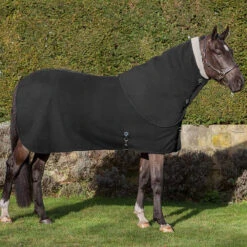 Halsstuk LeMieux Four Seasons Zwart -Paardenbenodigdheden Winkel halsstuk lemieux four seasons zwart 1500x1500 145828