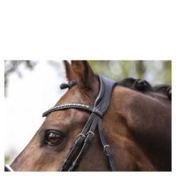 Hoofdstel Anky Comfort Fit Double Anatomical Zwart-wit 8 Hoofdstel Anky Comfort Fit Double Anatomical Zwart-wit -Paardenbenodigdheden Winkel hoofdstel anky comfort fit double anatomical zwart wit 1500x1500 182893